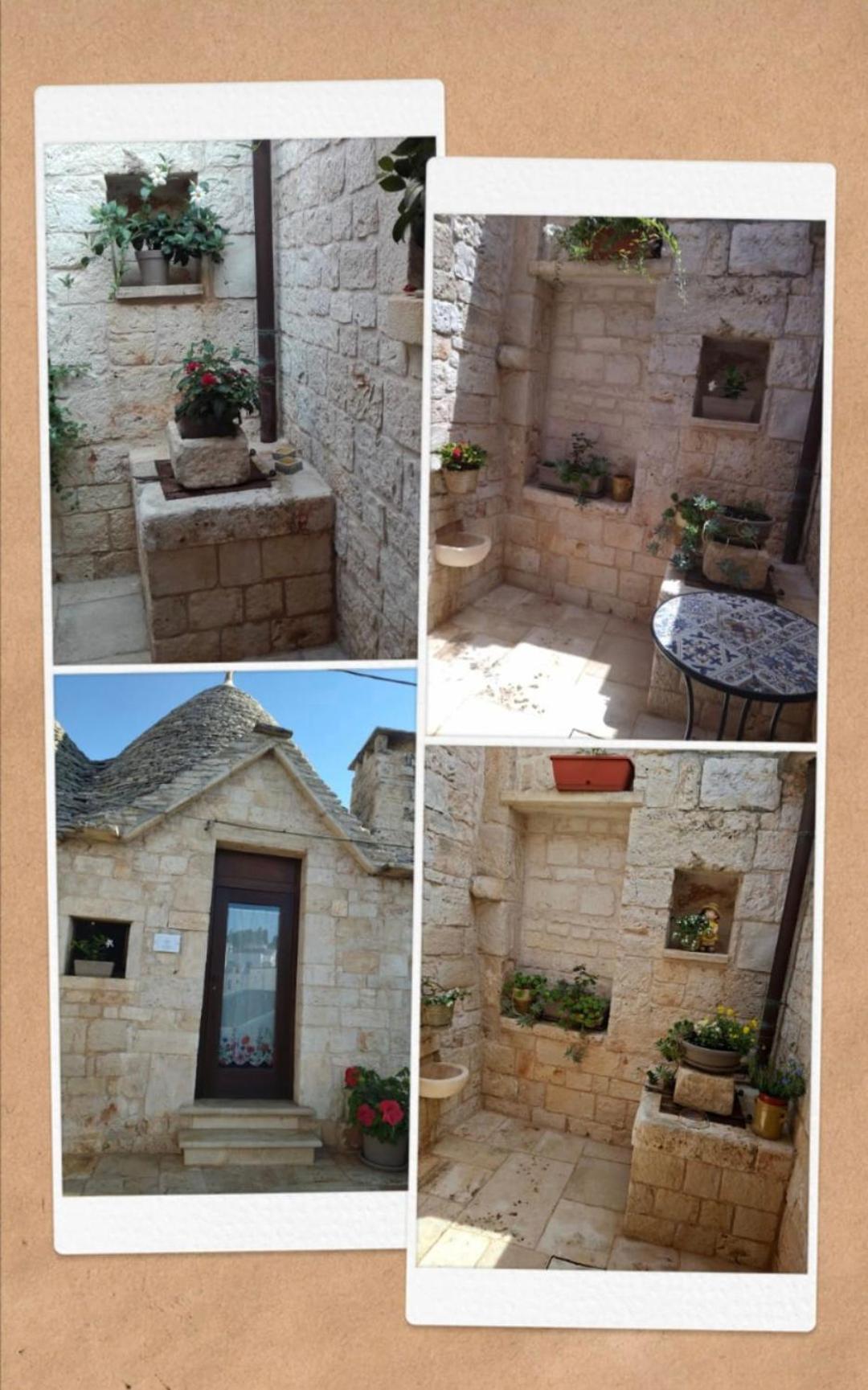 Il Trullo Gentile Αλμπερομπέλο Εξωτερικό φωτογραφία